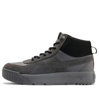 Tarrenz SB Sneakers Grå