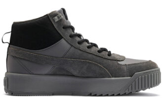 Tarrenz SB Sneakers Grå