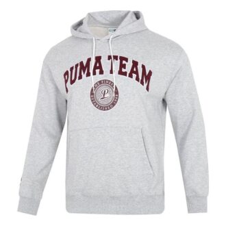 Team Hoodie ”Grå”
