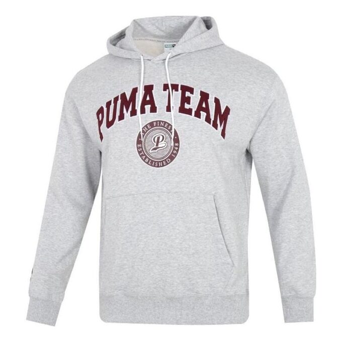 Team Hoodie ”Grå”