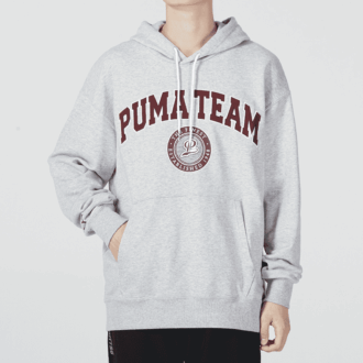Team Hoodie ”Grå”