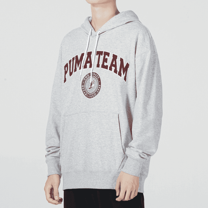 Team Hoodie ”Grå”