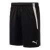 Team Liga Shorts ”Svarta”