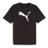 teamRISE Logotyp Bomull T-shirt ”Svart”