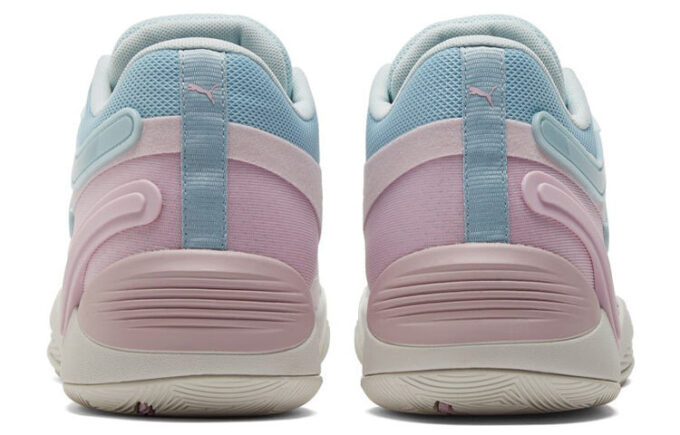 TRC Blaze Court ”Cool Blue Winsome Orchid”