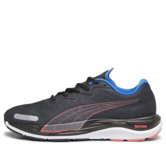 Velocity Nitro 2 ”Black Fire Orchid Ultra Blue”
