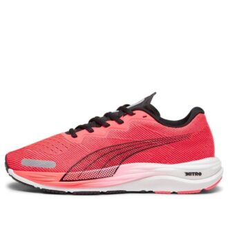 Velocity Nitro 2 ”Fire Orchid Black”