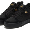 (WMNS) Skye Demi Retro Casual Skateboardskor Svarta