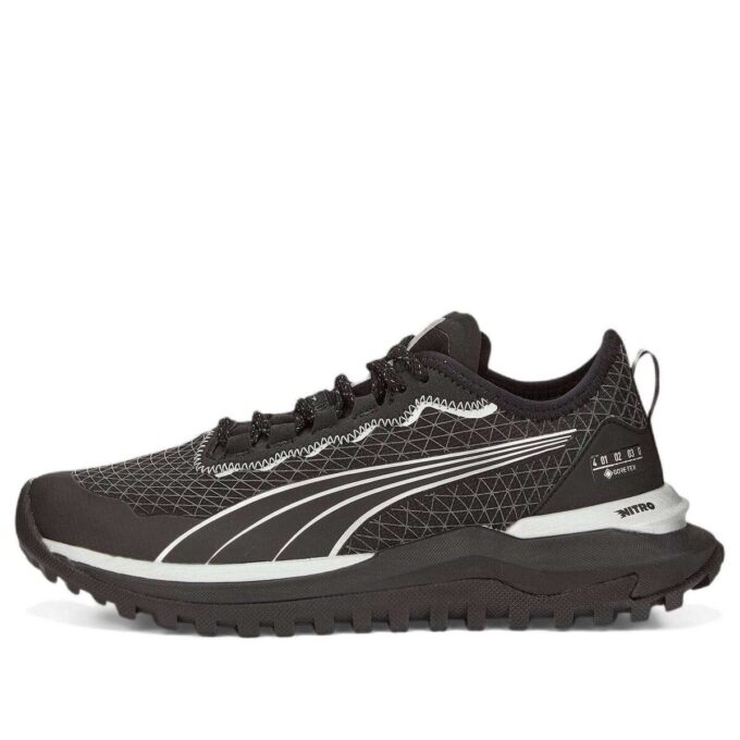 (WMNS) Voyage Nitro 2 GORE-TEX ”Svart Metallisk Silver”